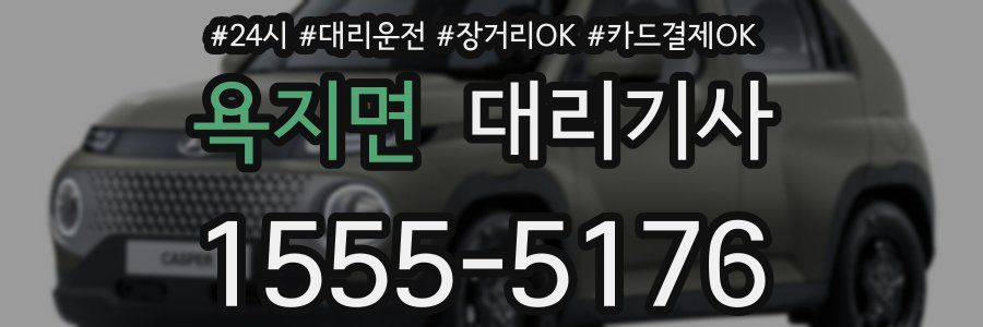욕지면 대리기사