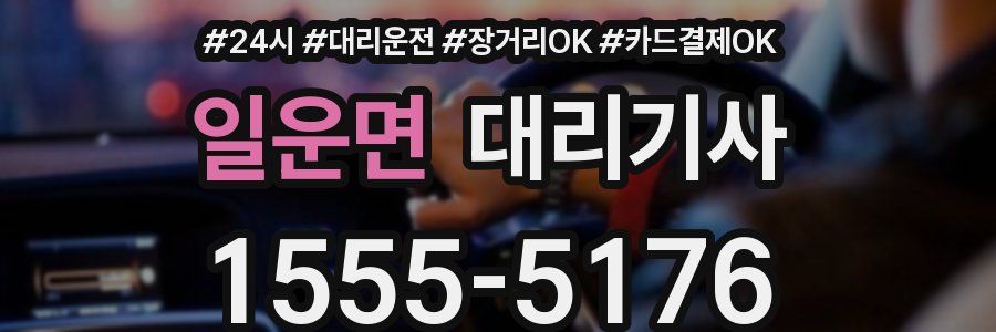 일운면 대리기사
