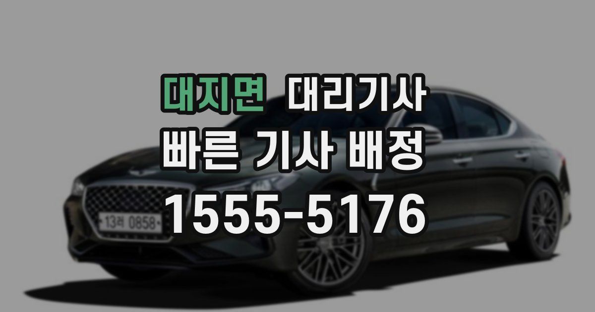 대지면 대리기사