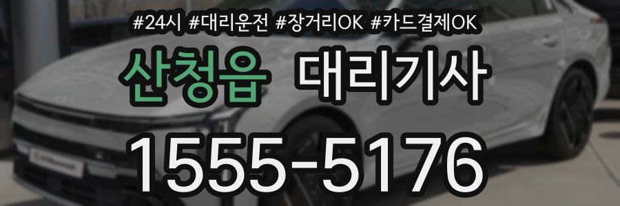 산청읍 대리기사