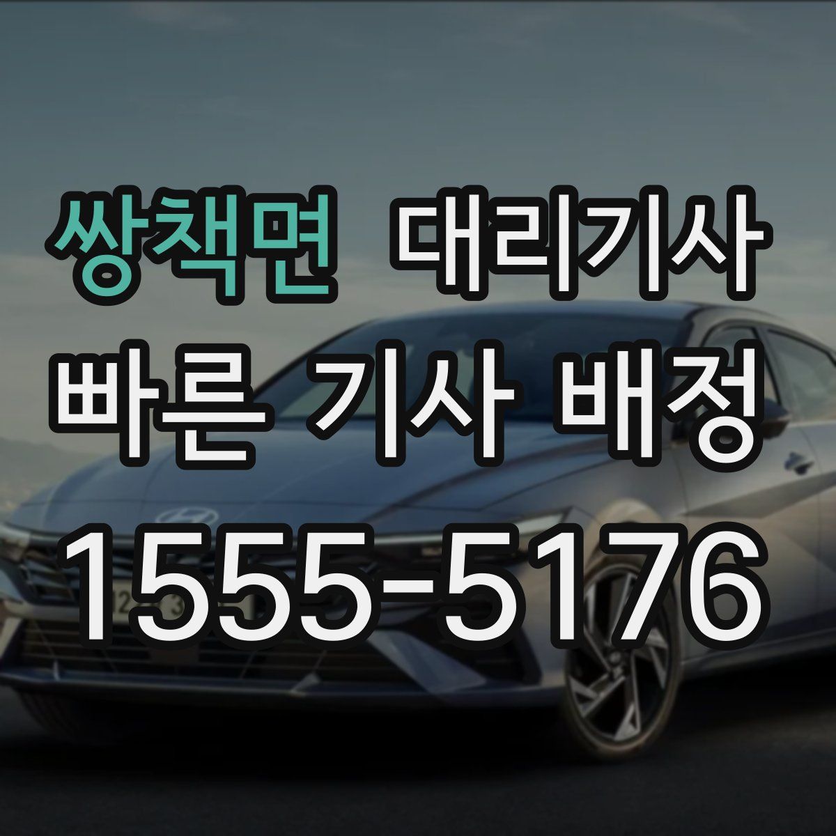 쌍책면 대리기사