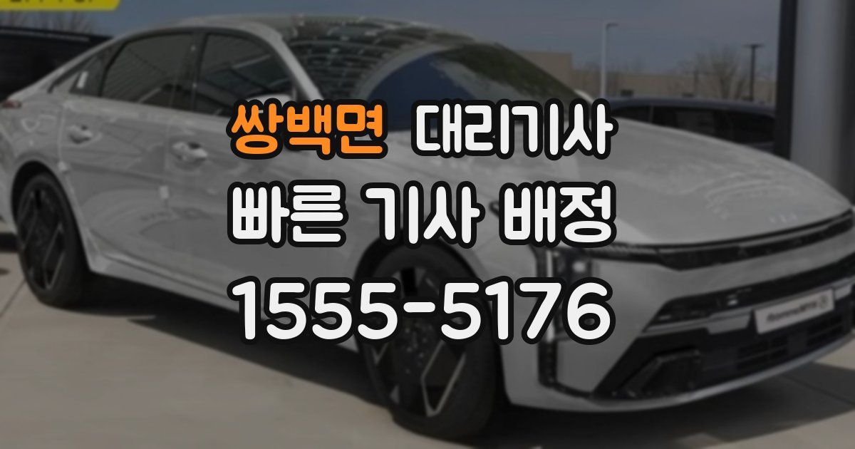 쌍백면 대리기사