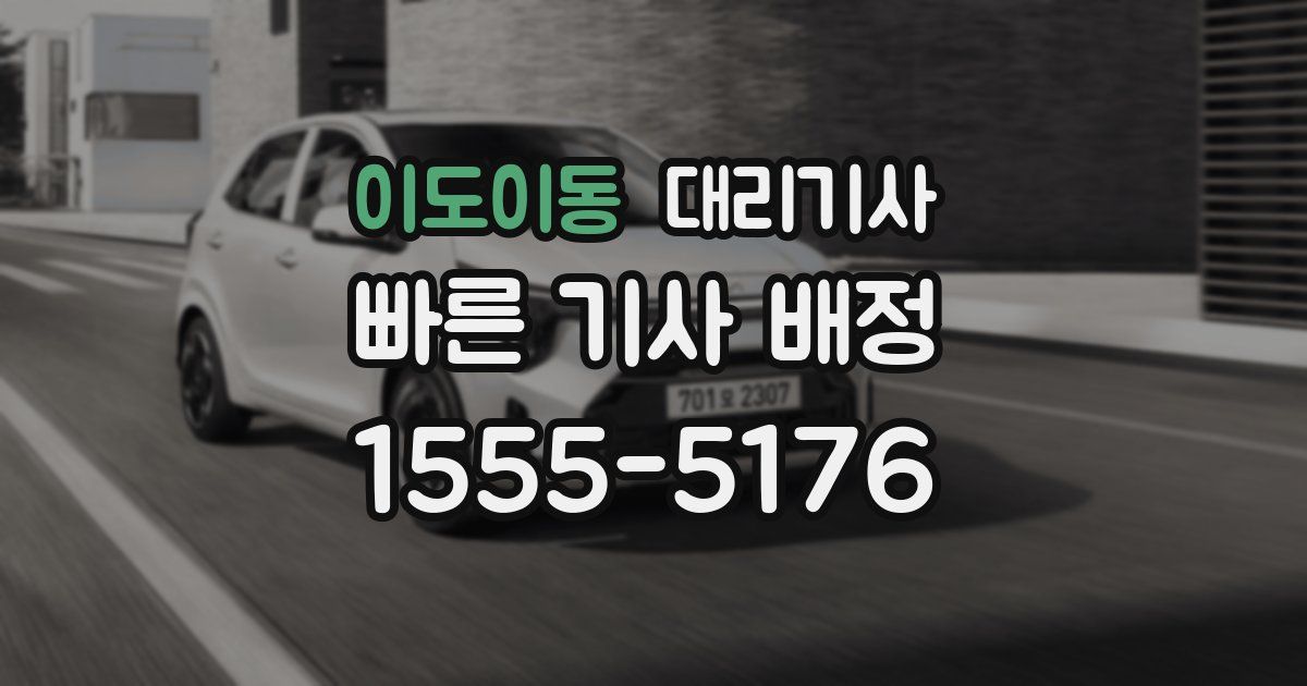 이도이동 대리기사