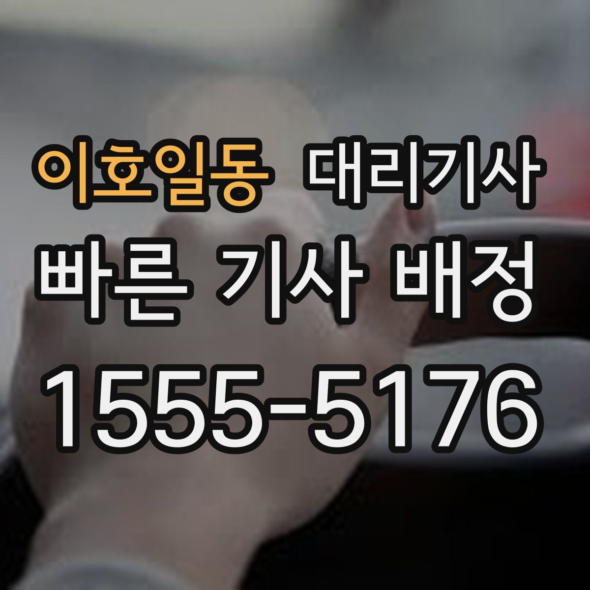 이호일동 대리기사