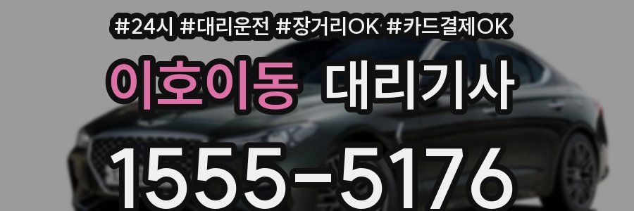 이호이동 대리기사