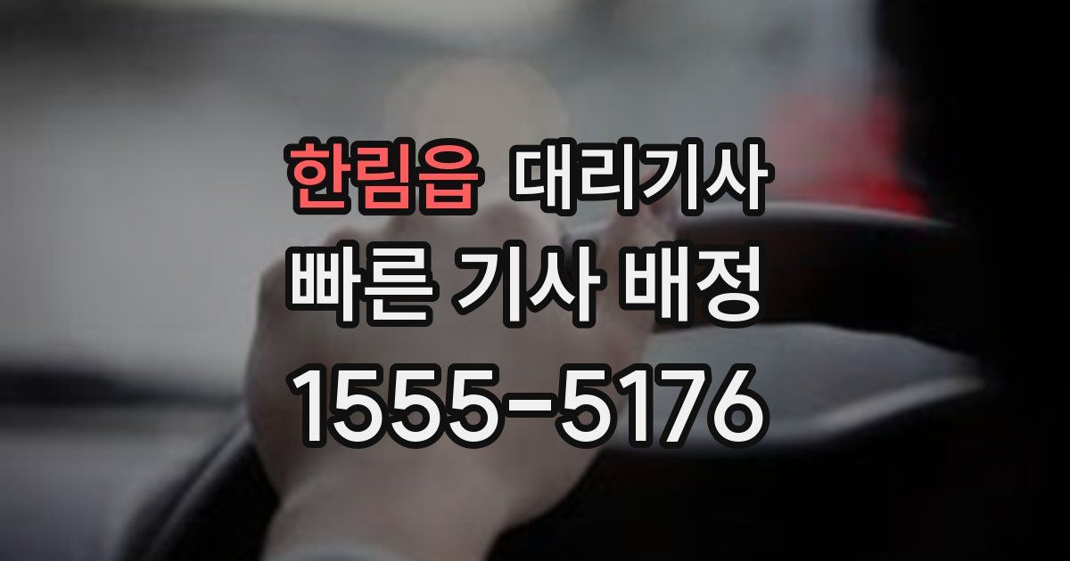 한림읍 대리기사