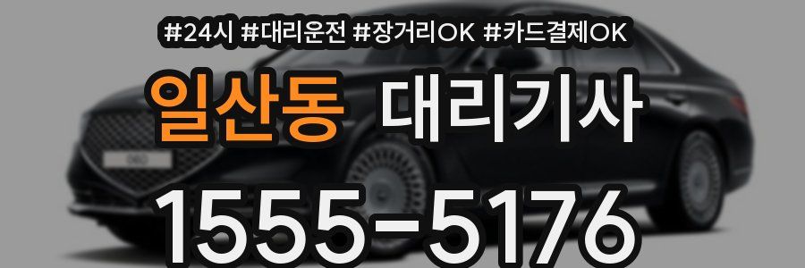 일산동 대리기사