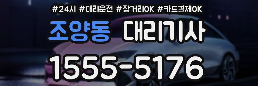 조양동 대리기사