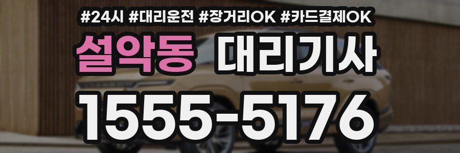 설악동 대리기사