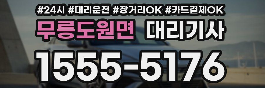 무릉도원면 대리기사