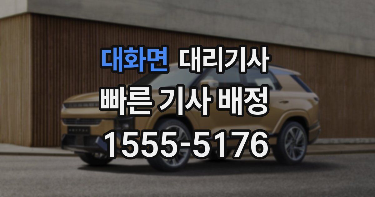 대화면 대리기사