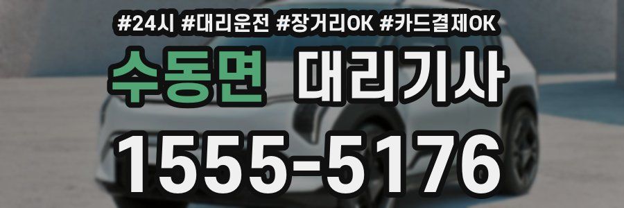 수동면 대리기사