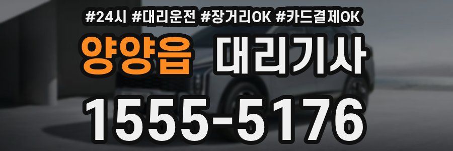 양양읍 대리기사