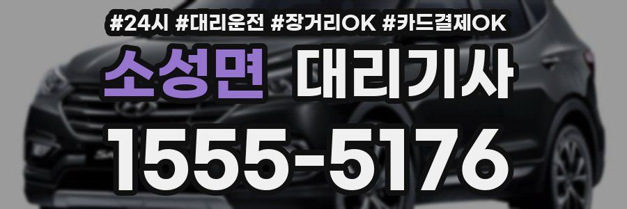 소성면 대리기사