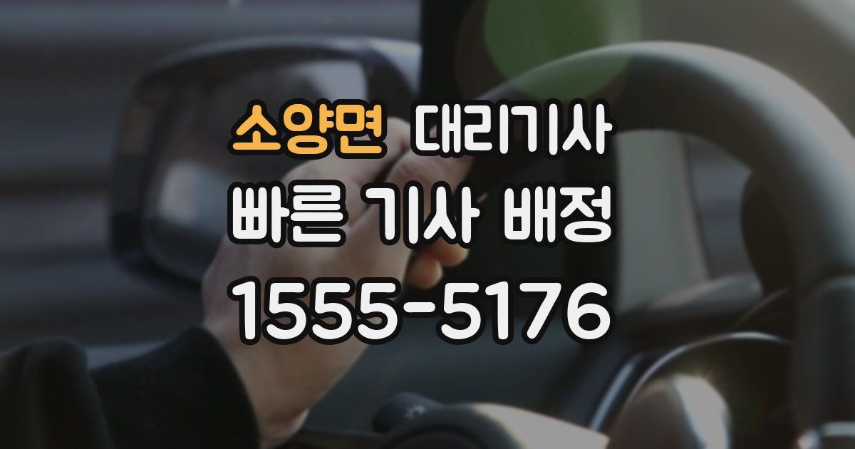 소양면 대리기사