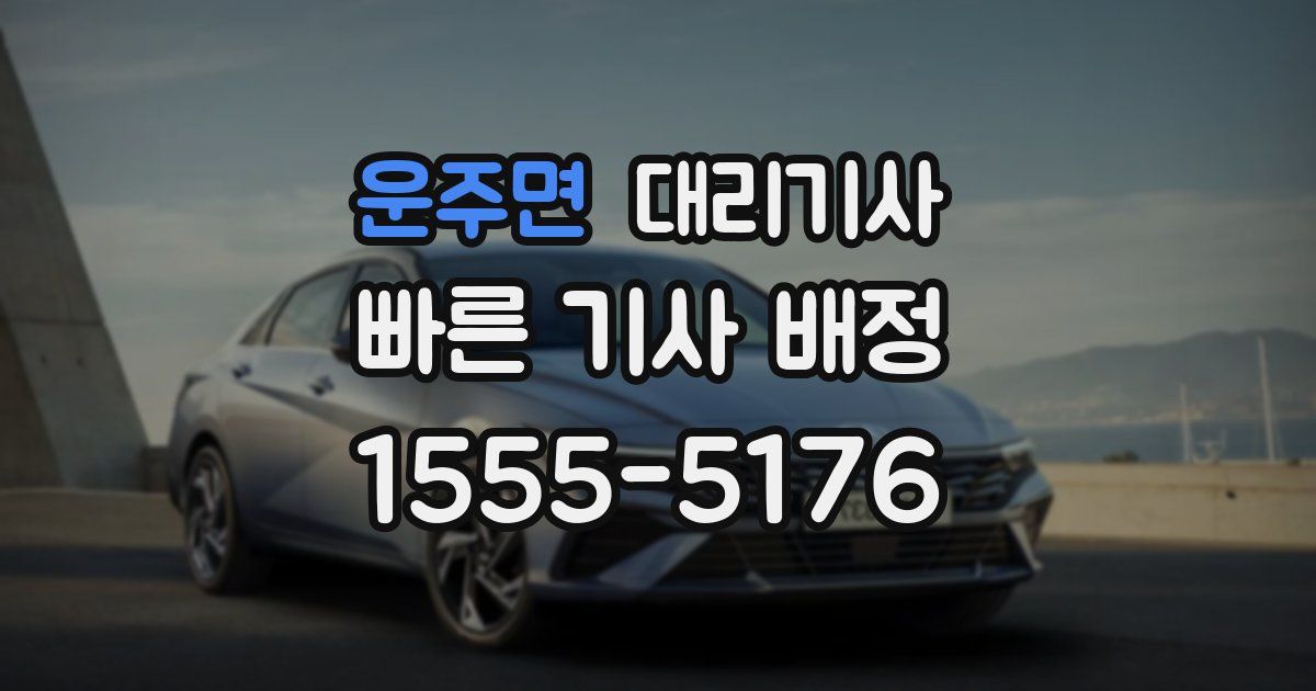운주면 대리기사