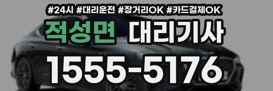 적성면 대리기사