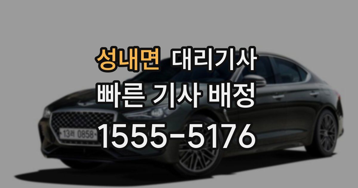 성내면 대리기사