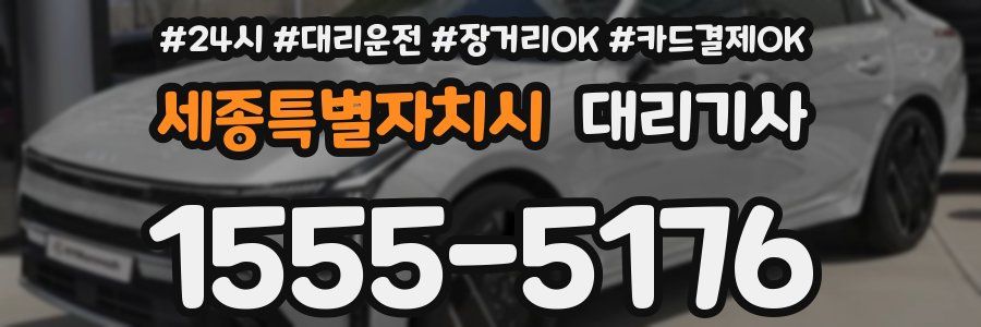 세종특별자치시 대리기사
