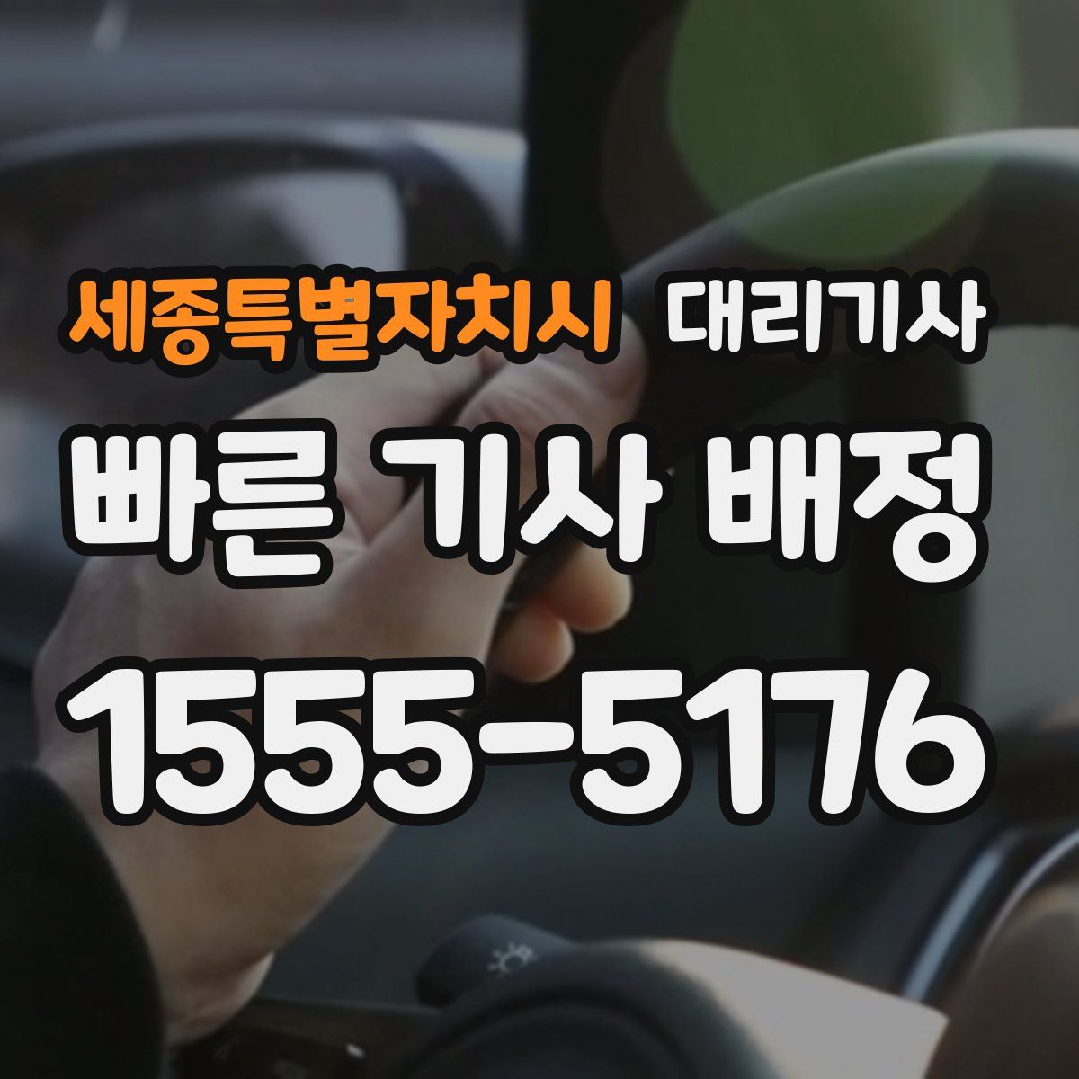 세종특별자치시 대리기사