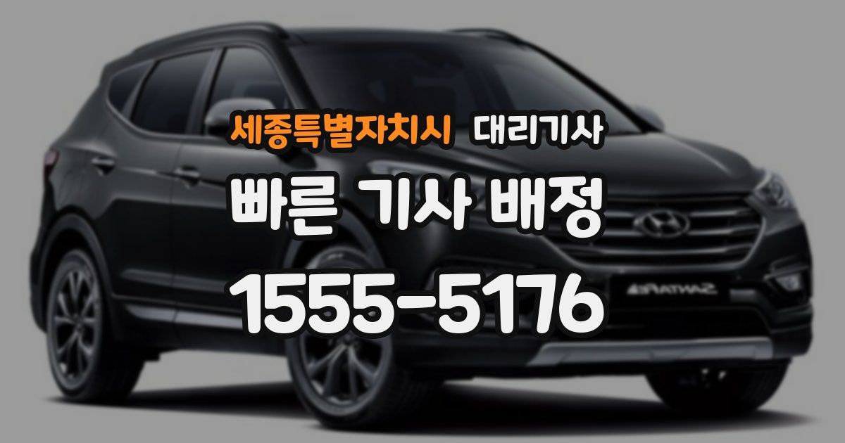 세종특별자치시 대리기사