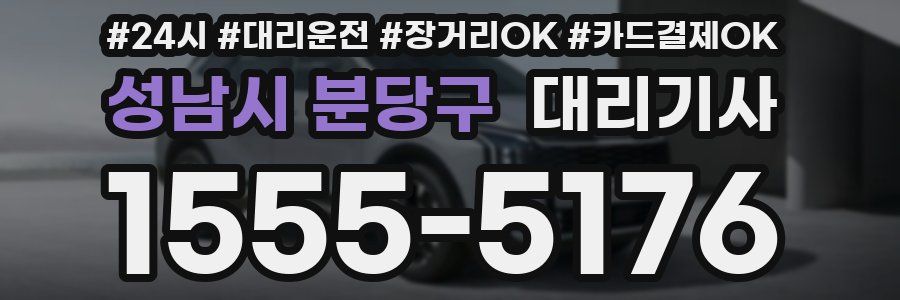 성남시 분당구 대리기사