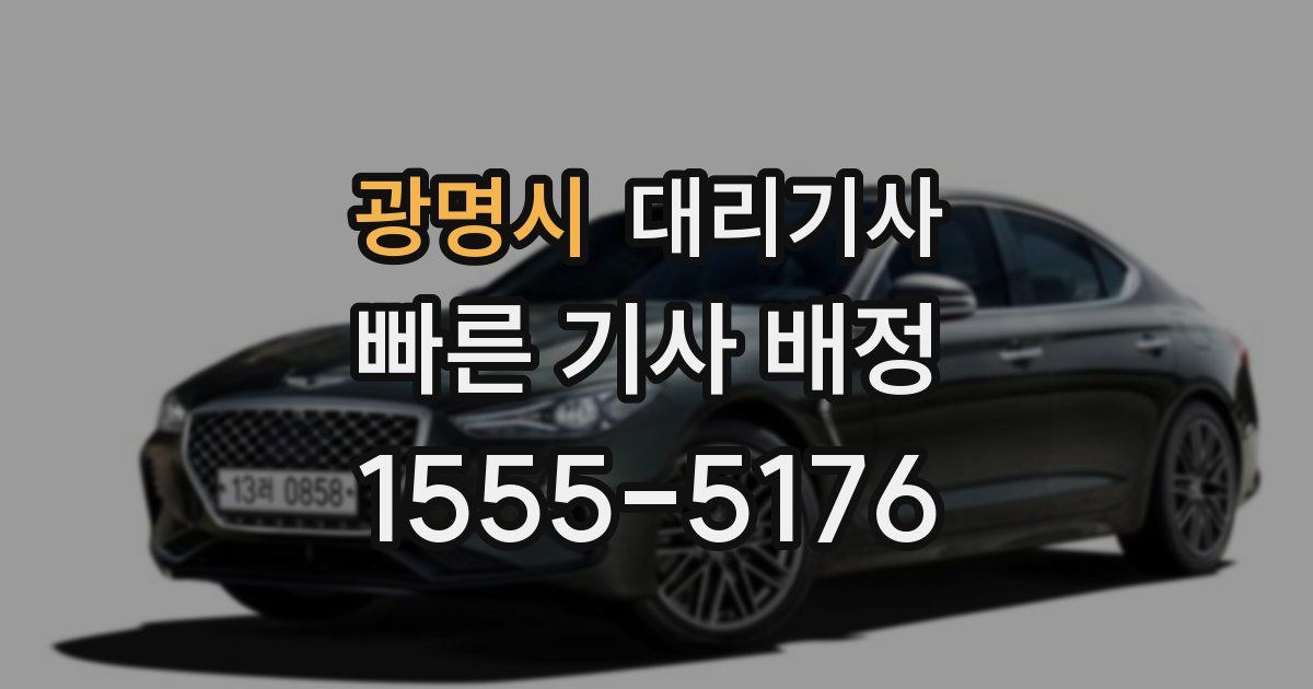 광명시 대리기사