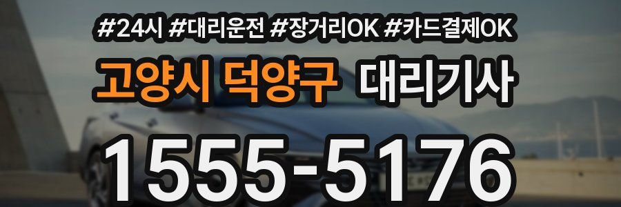 고양시 덕양구 대리기사
