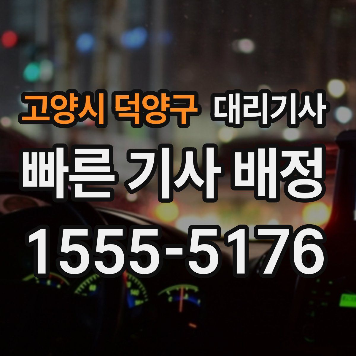 고양시 덕양구 대리기사