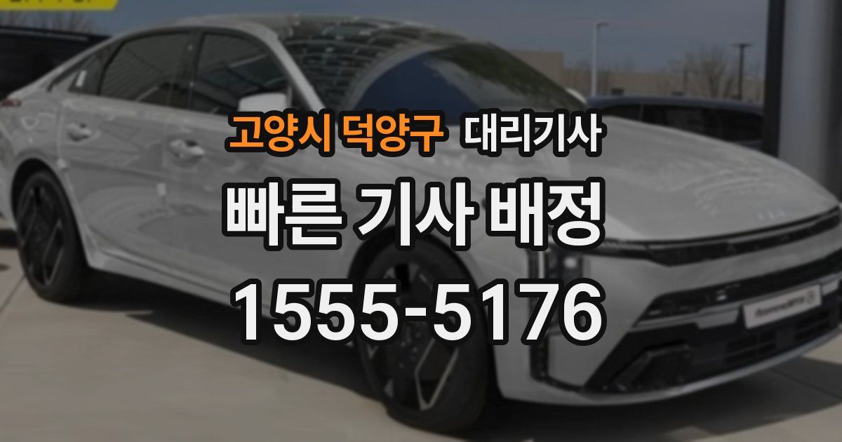고양시 덕양구 대리기사