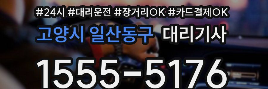 고양시 일산동구 대리기사