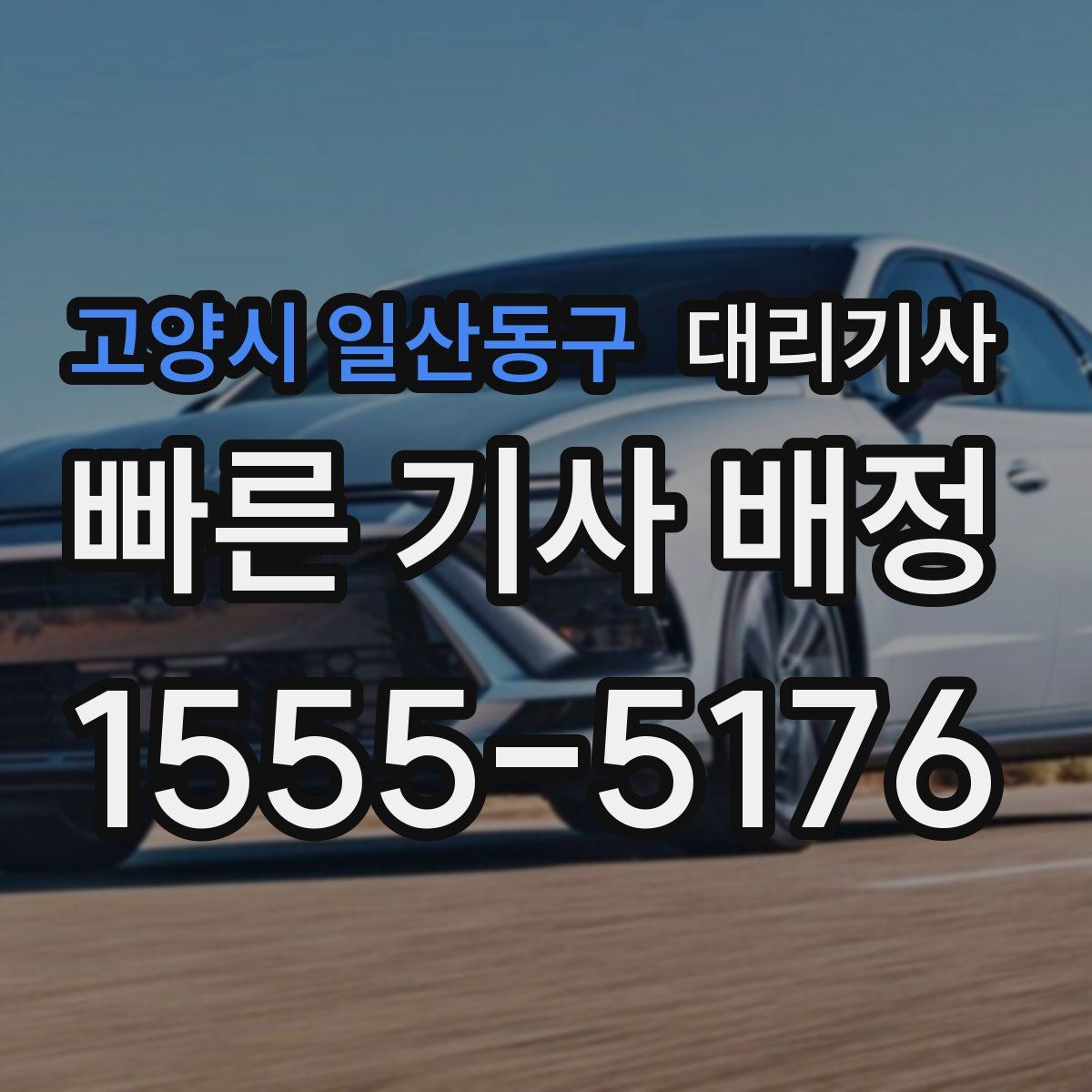 고양시 일산동구 대리기사
