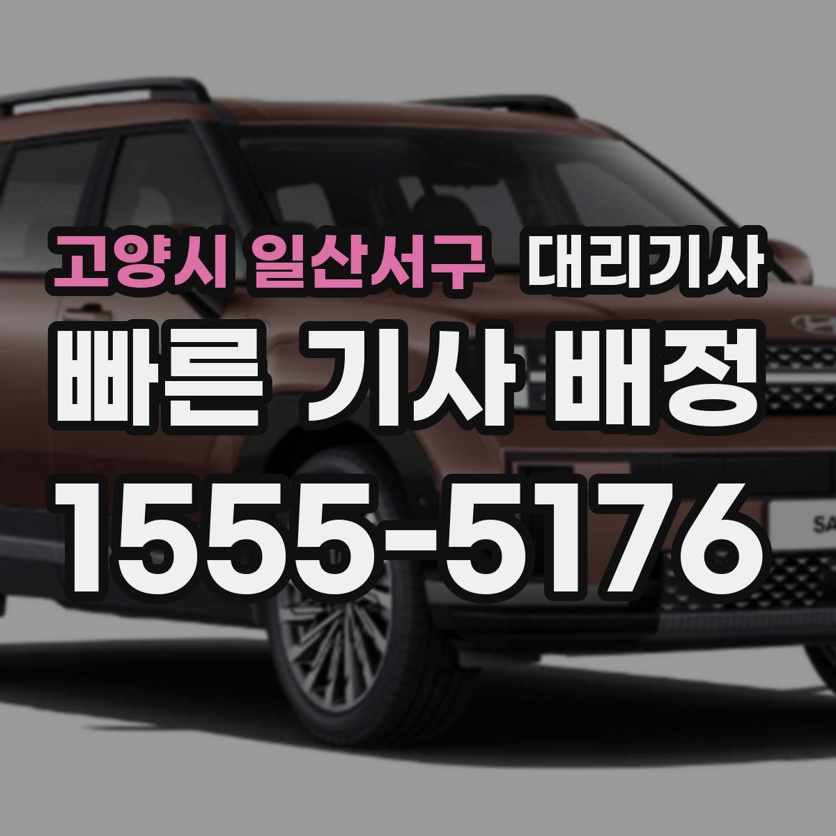 고양시 일산서구 대리기사