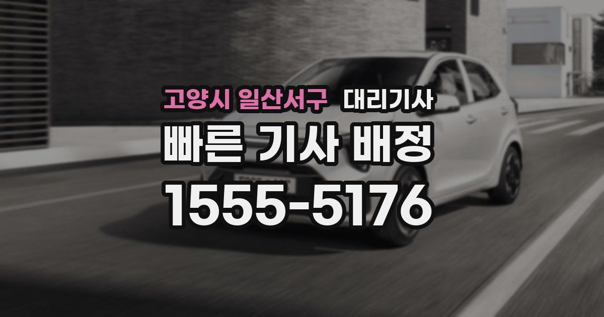 고양시 일산서구 대리기사