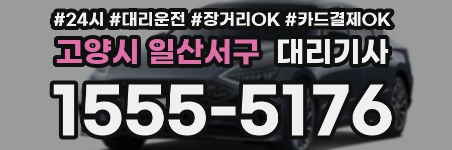 고양시 일산서구 대리기사