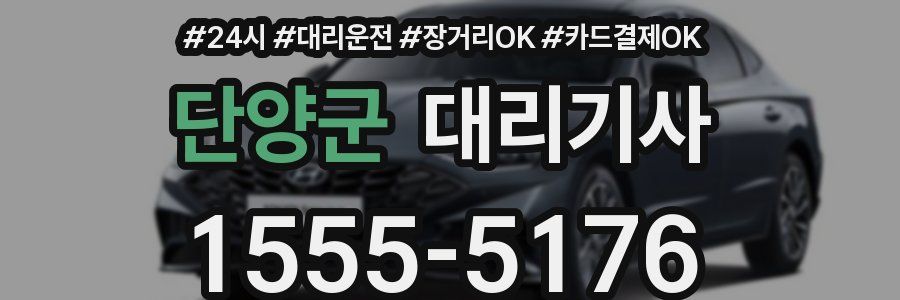 단양군 대리기사