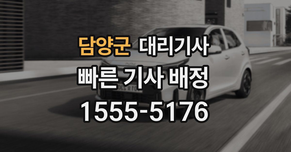 담양군 대리기사