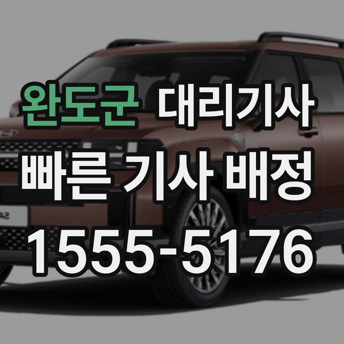 완도군 대리기사