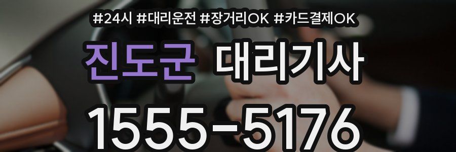 진도군 대리기사