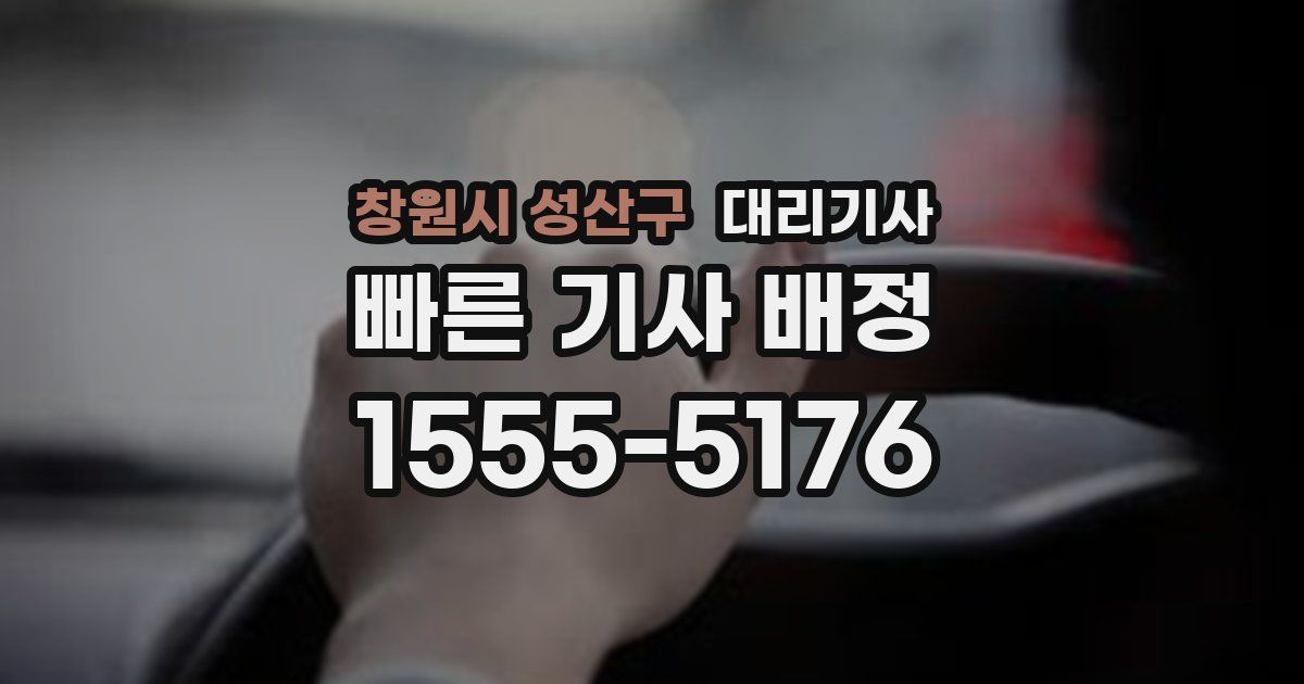창원시 성산구 대리기사