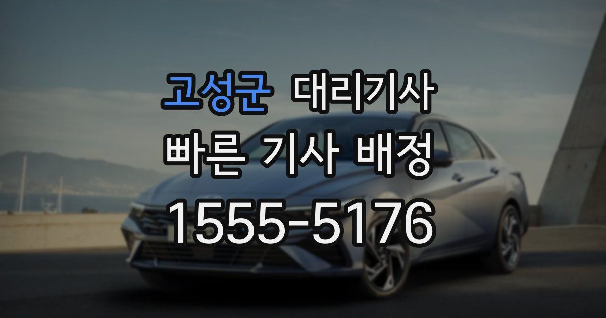 고성군 대리기사