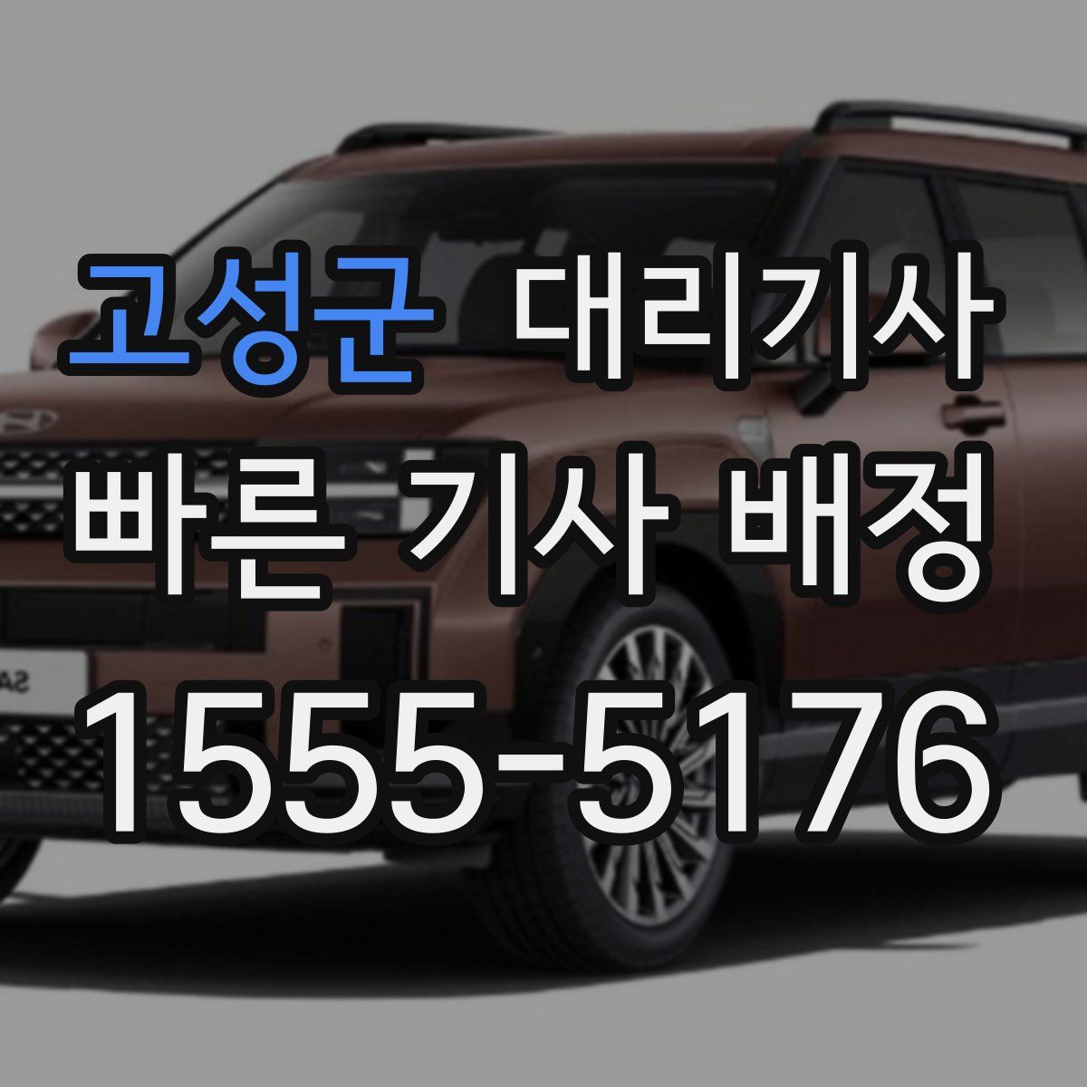 고성군 대리기사