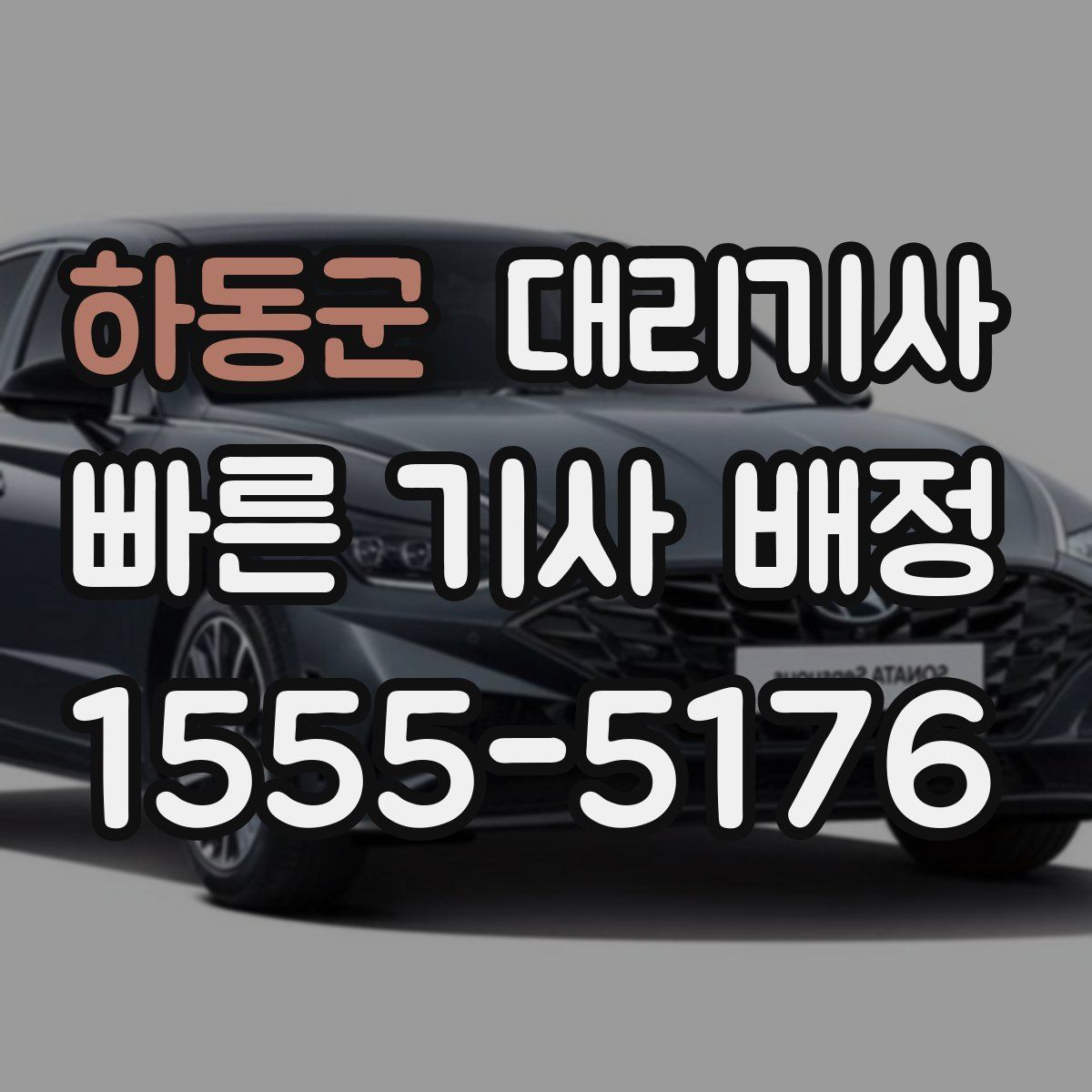 하동군 대리기사