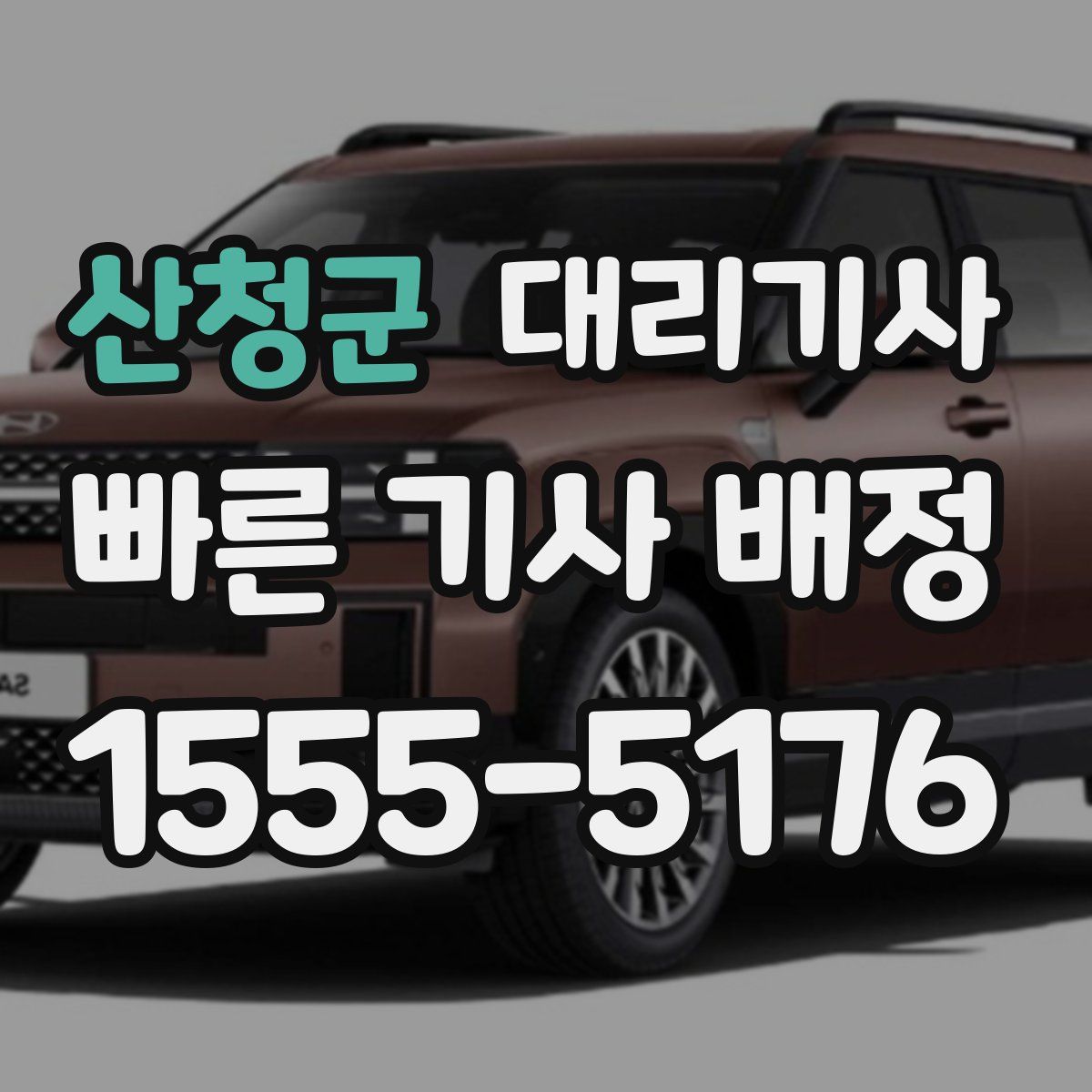 산청군 대리기사