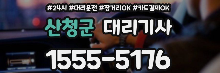 산청군 대리기사