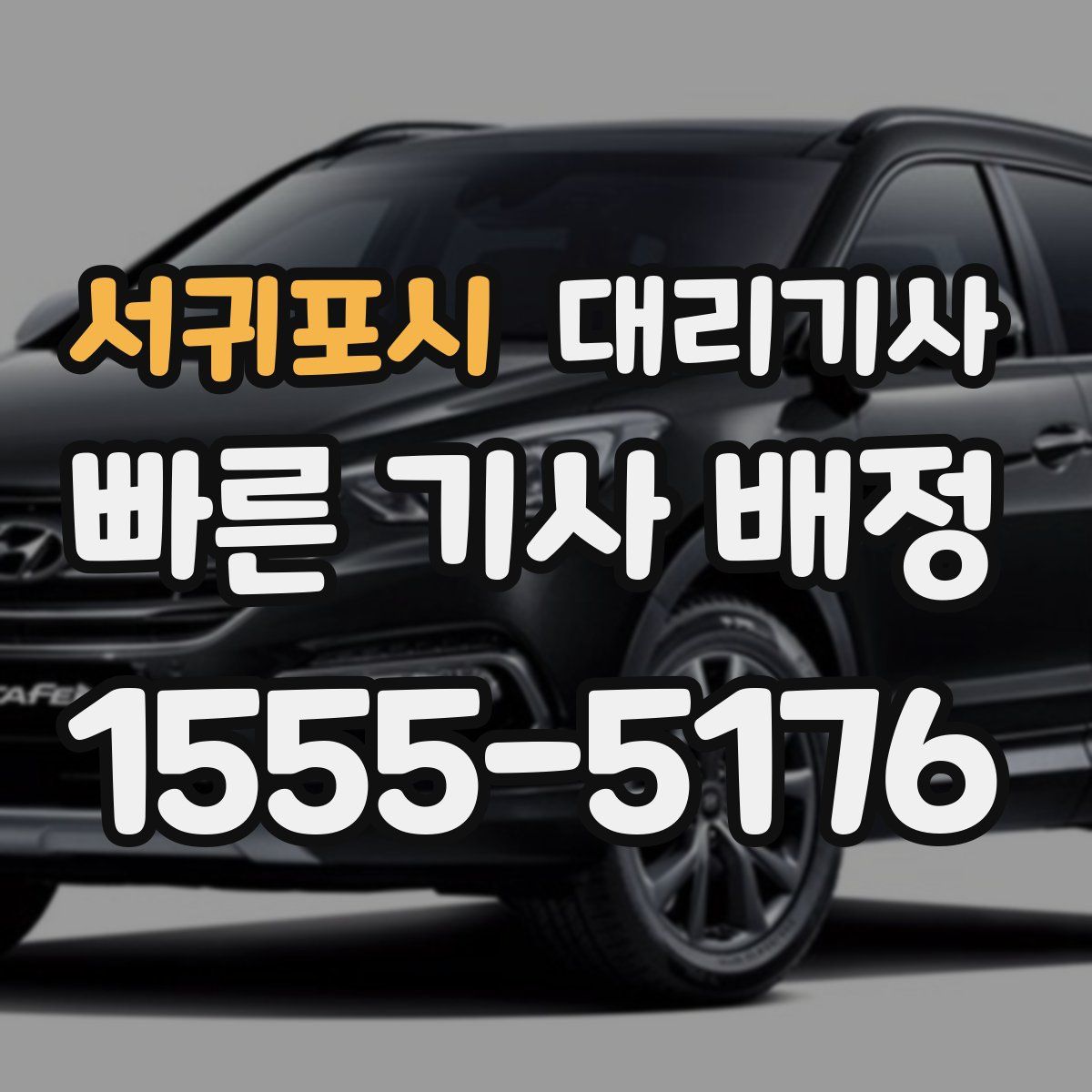 서귀포시 대리기사
