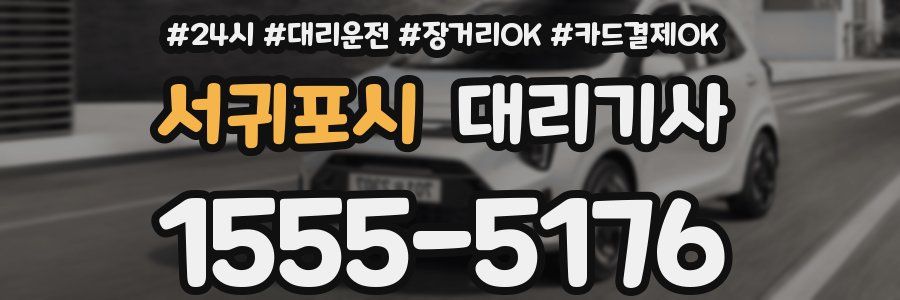 서귀포시 대리기사