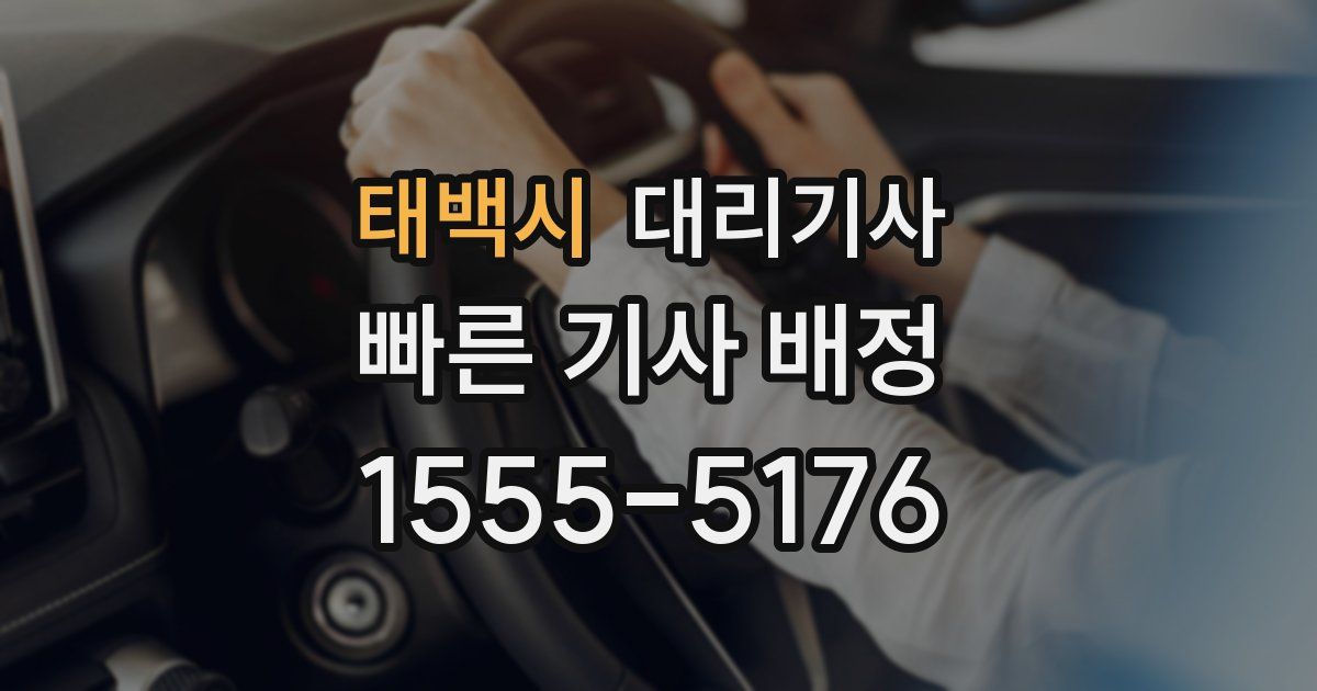 태백시 대리기사