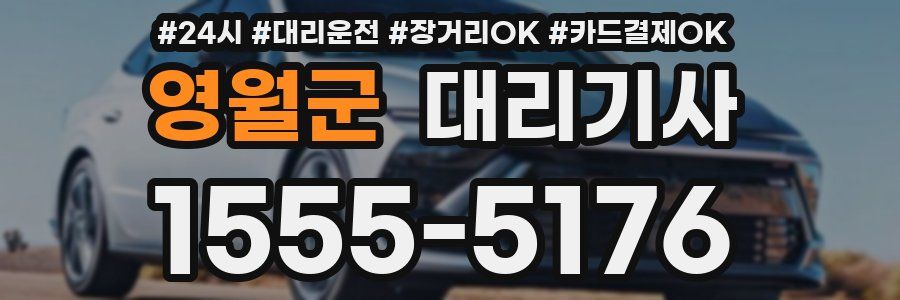영월군 대리기사