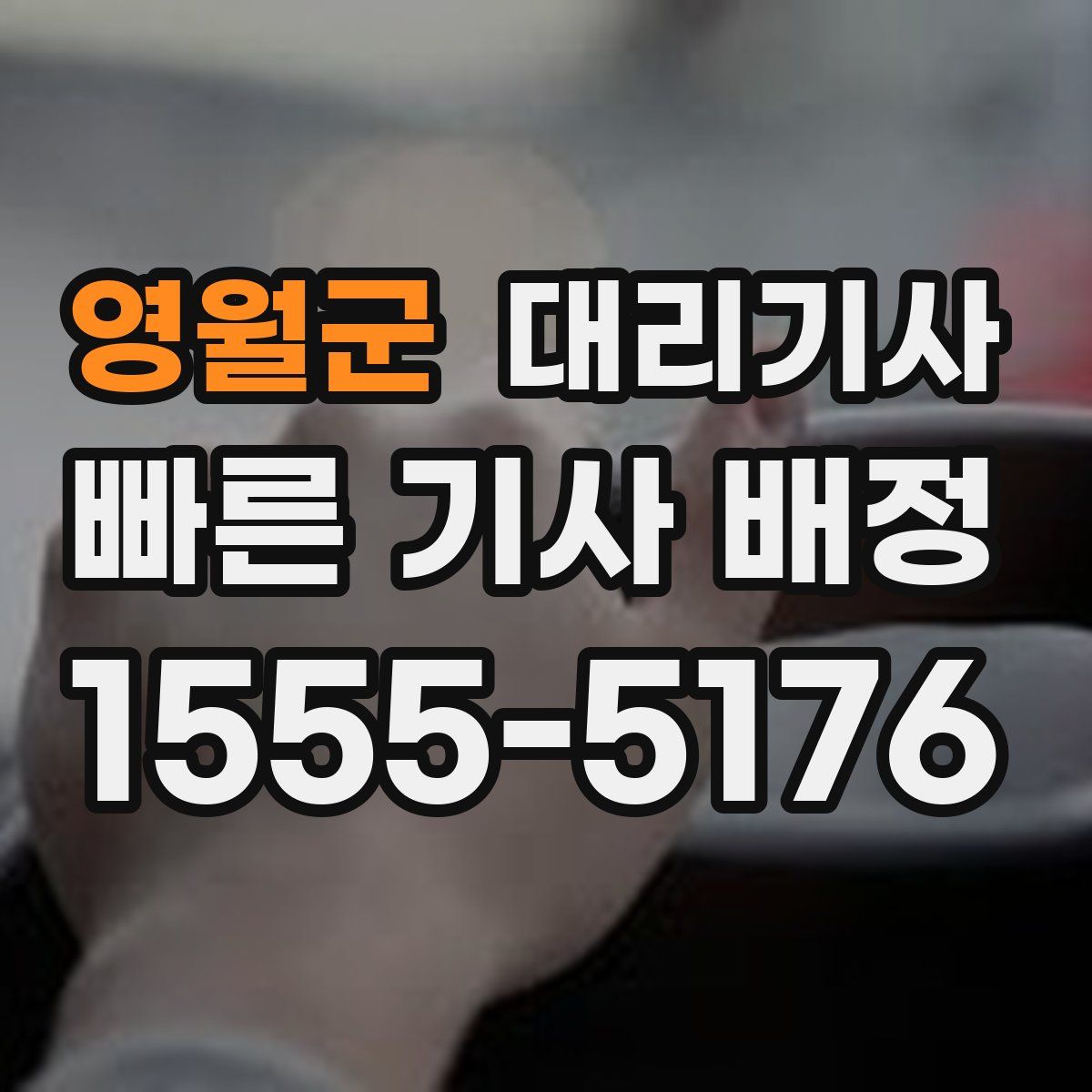 영월군 대리기사